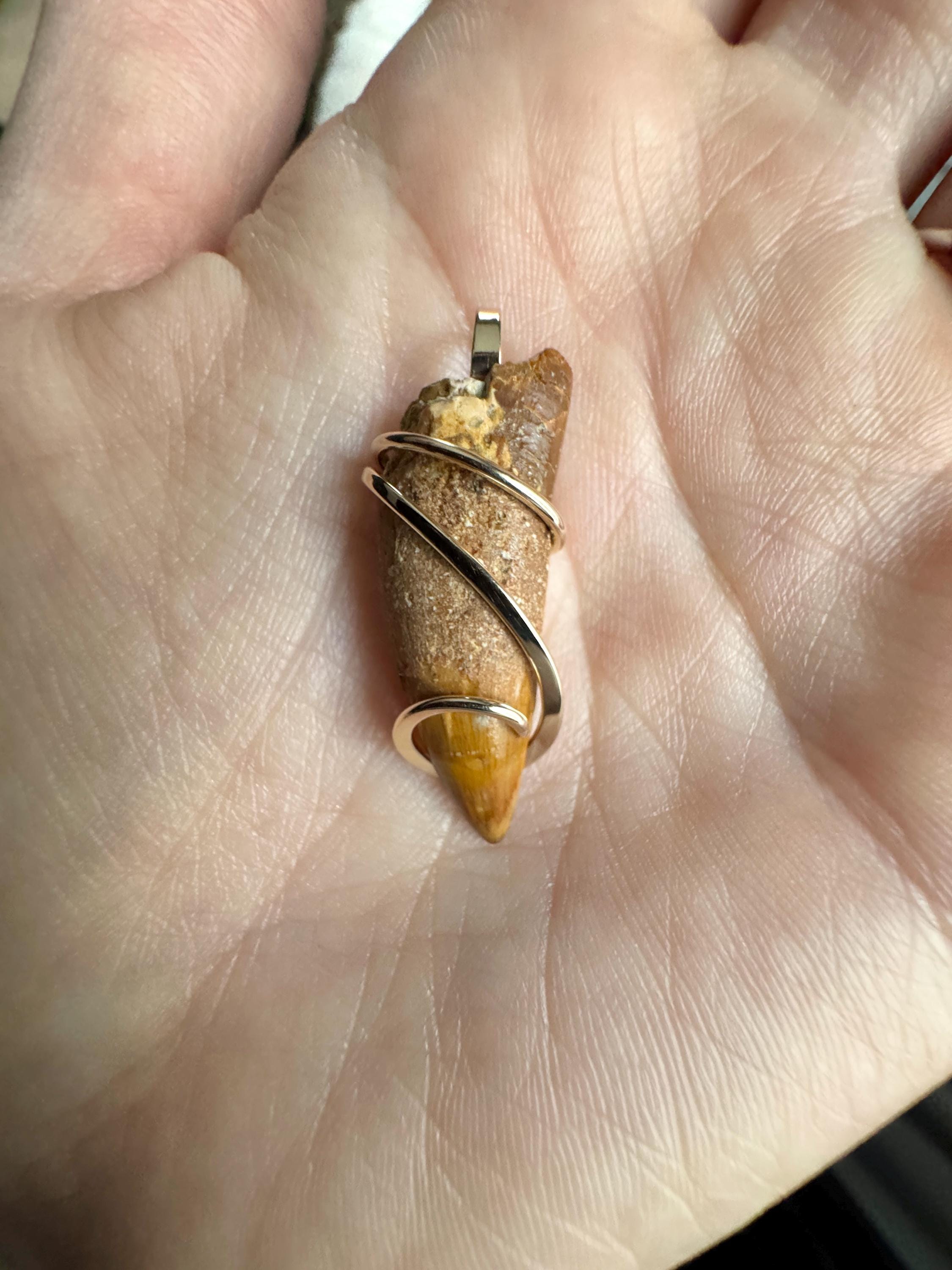Dinosaur Tooth in 14k Gold Pendant - Etsy