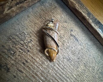Dinosaur Tooth in 14k Gold Pendant - Etsy
