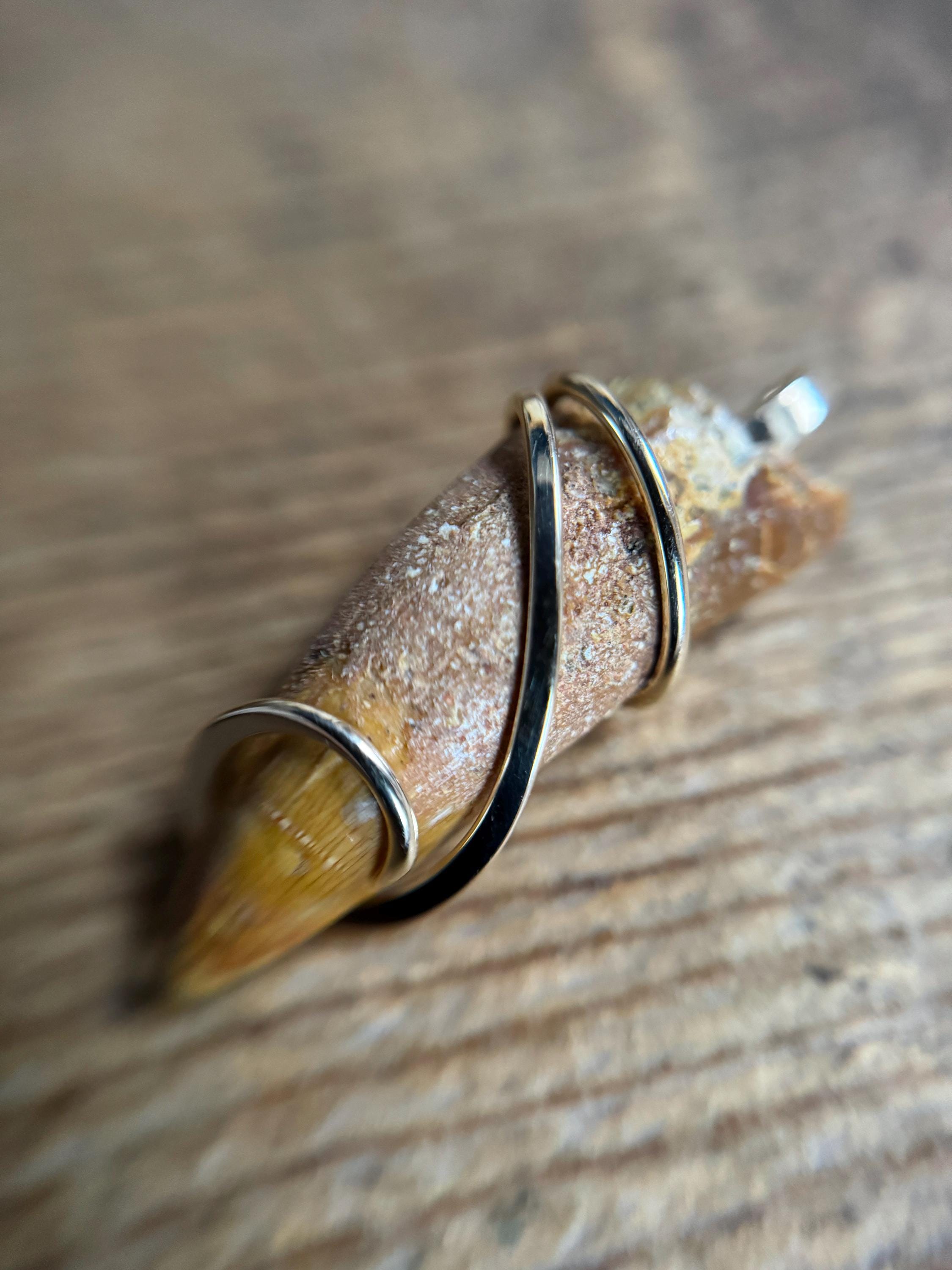 Dinosaur Tooth in 14k Gold Pendant - Etsy