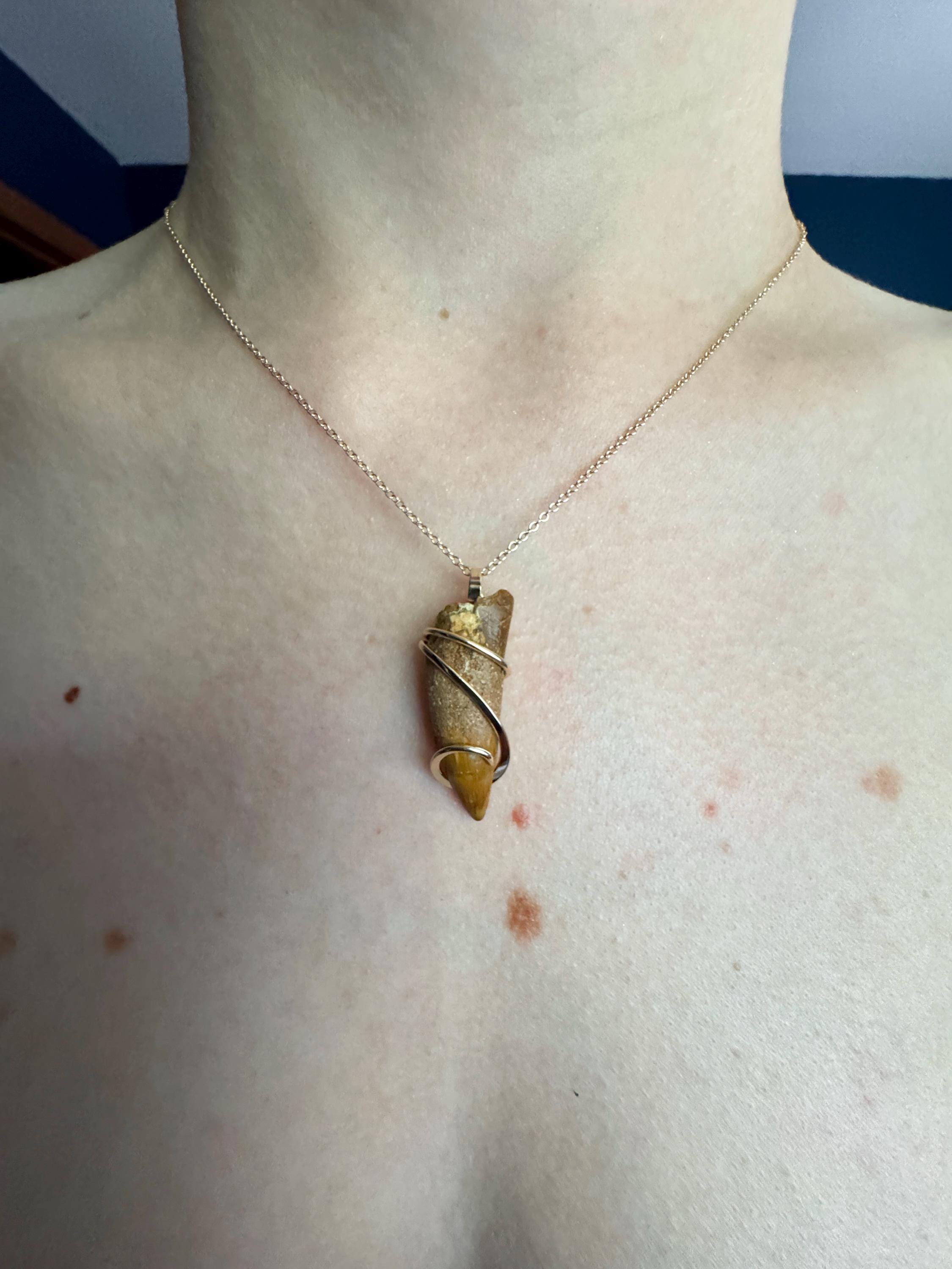 Dinosaur Tooth in 14k Gold Pendant - Etsy