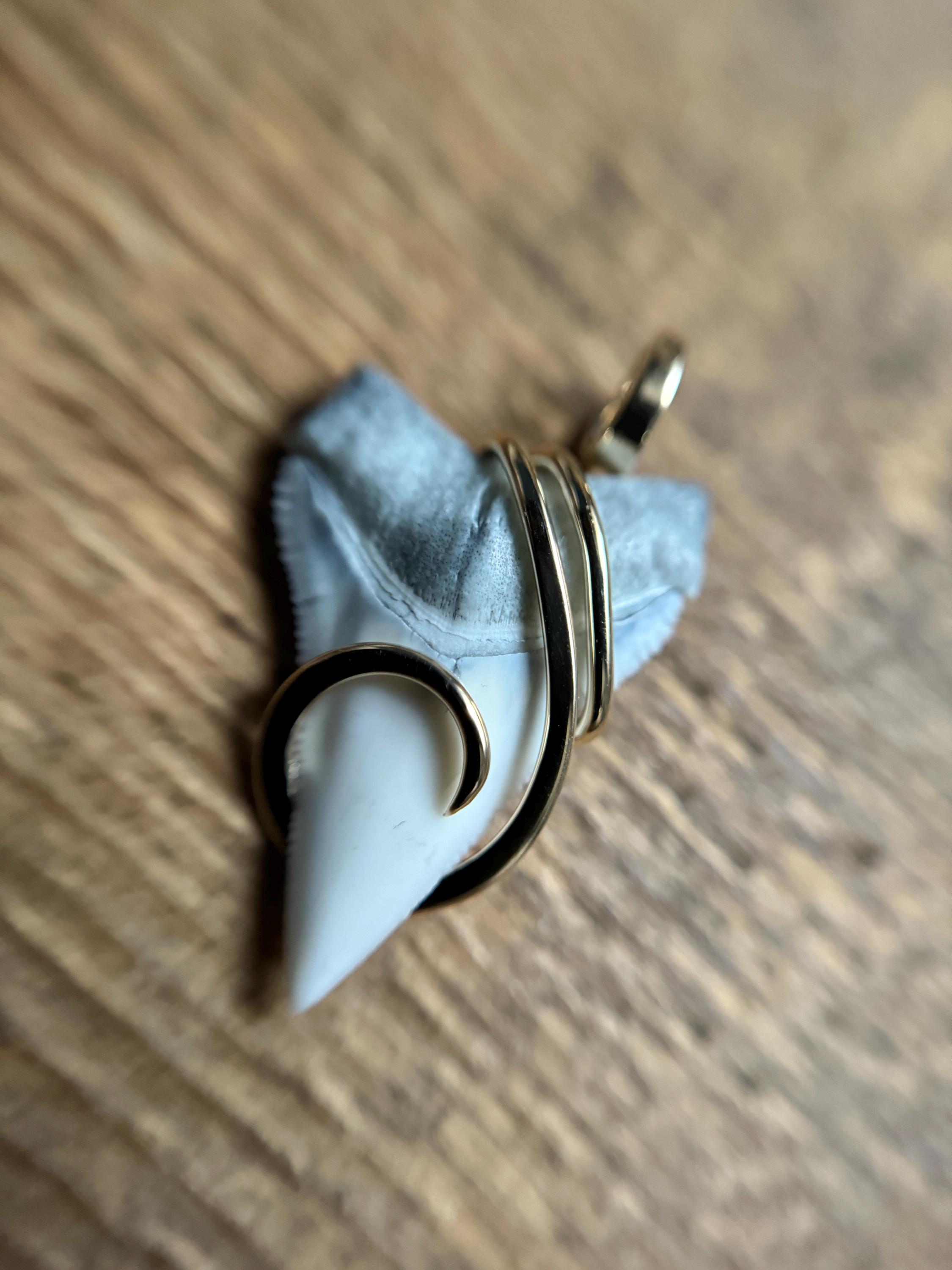 Pendentif Ancien En Or Massif 18 Carats, Dent De Requin - Bijou Vintage Occasion