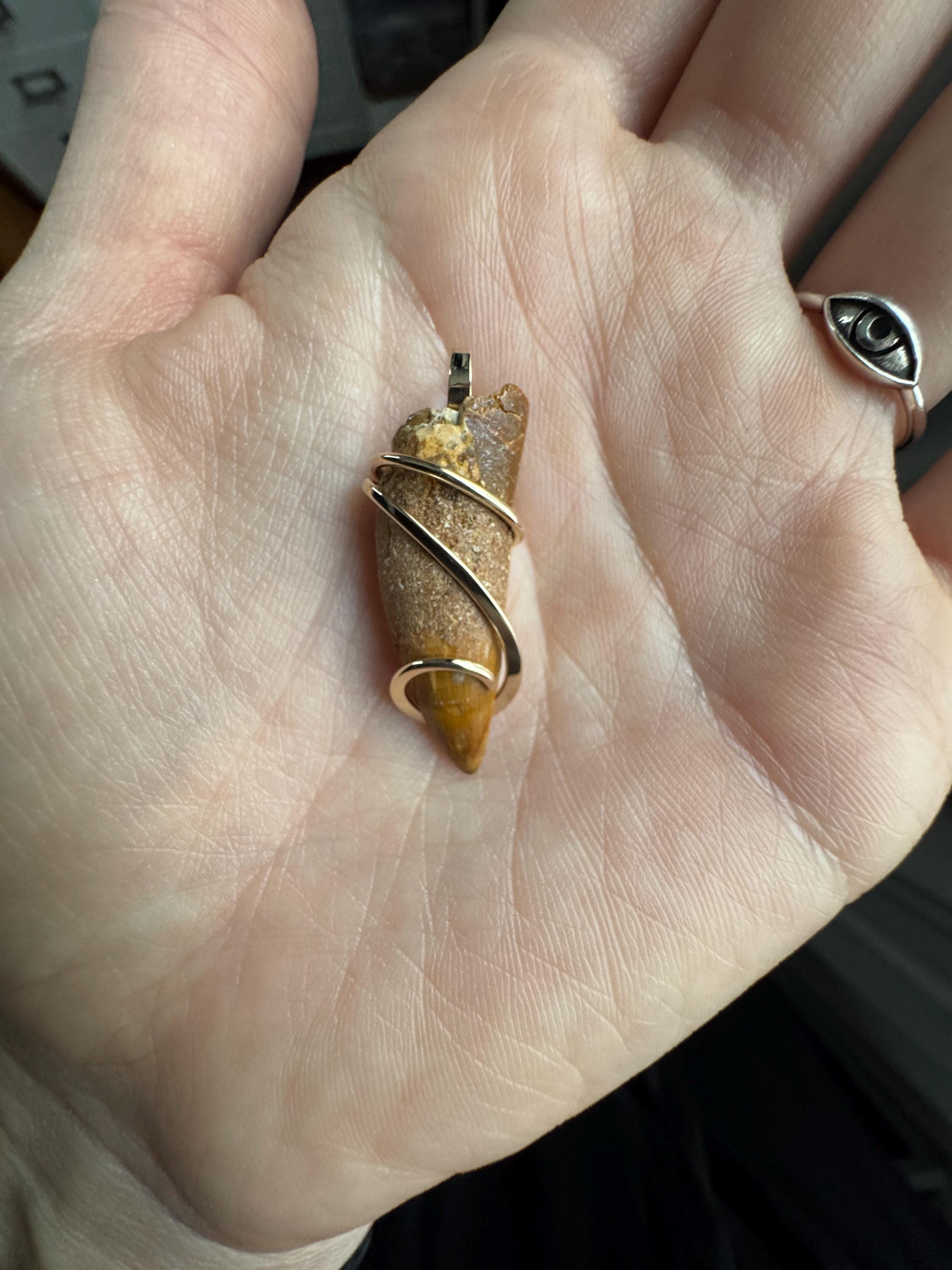 Dinosaur Tooth in 14k Gold Pendant - Etsy