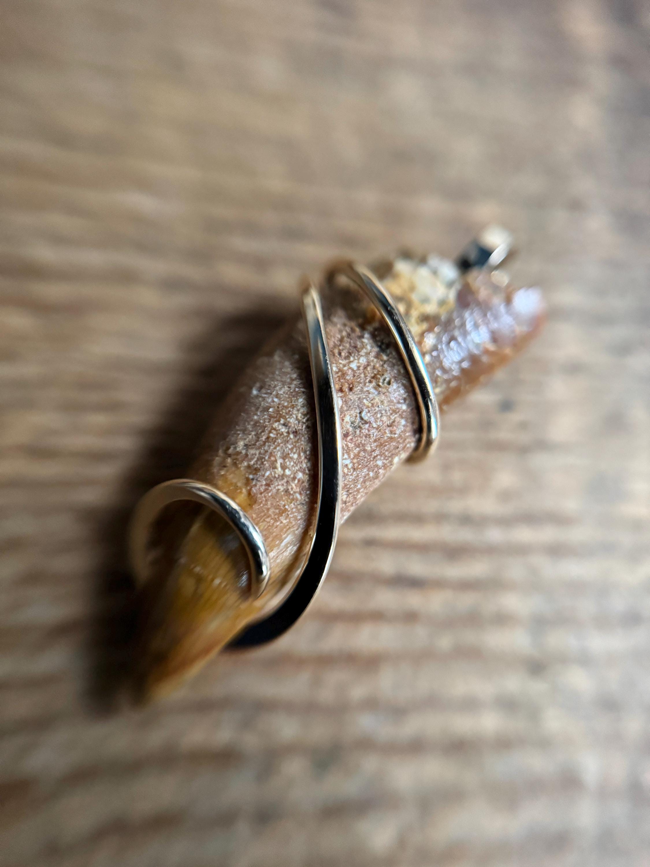 Dinosaur Tooth in 14k Gold Pendant - Etsy