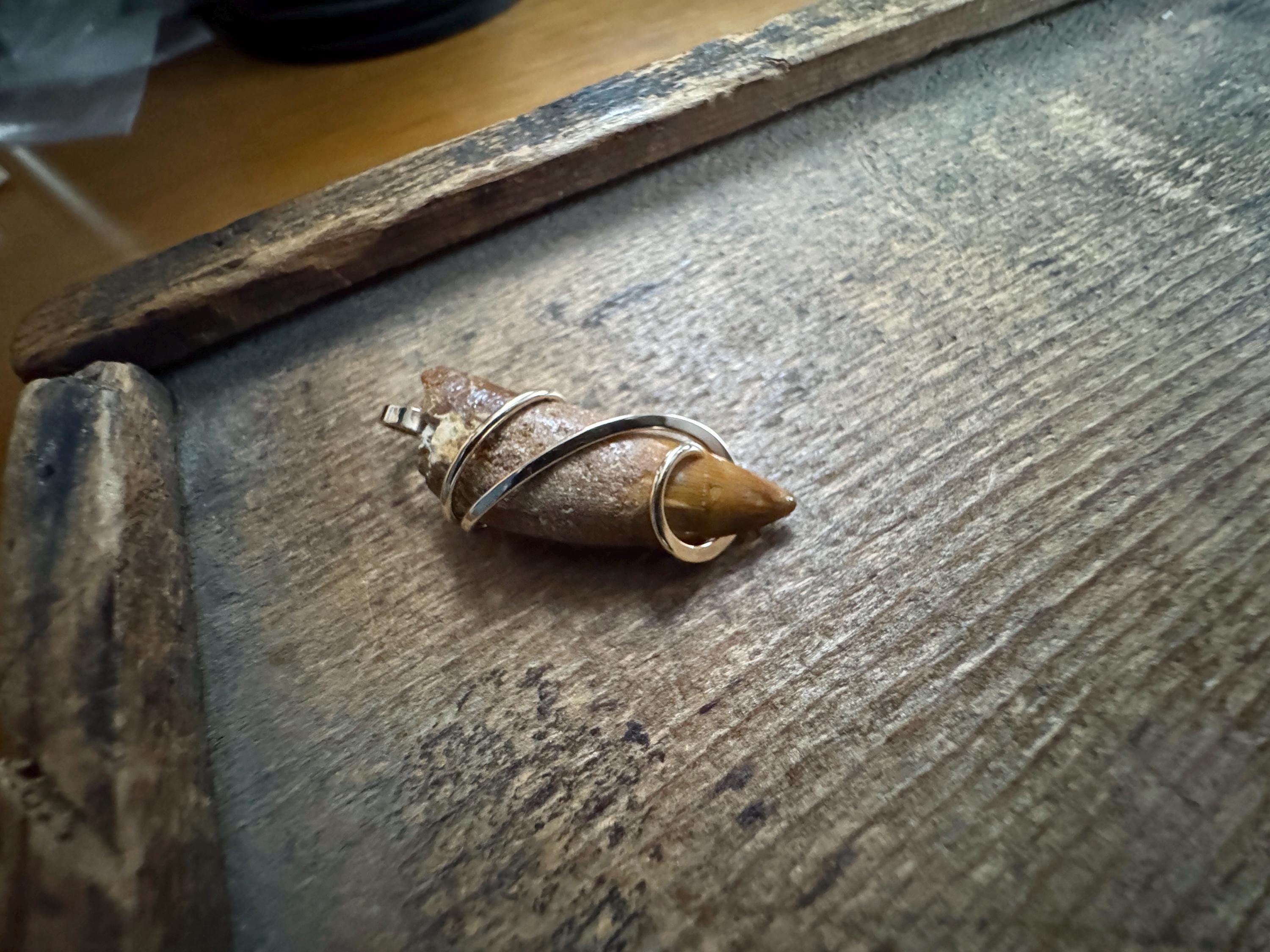 Dinosaur Tooth in 14k Gold Pendant - Etsy