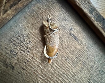 Dinosaur Tooth in 14k Gold Pendant - Etsy