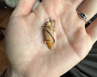 Dinosaur Tooth in 14k Gold Pendant - Etsy