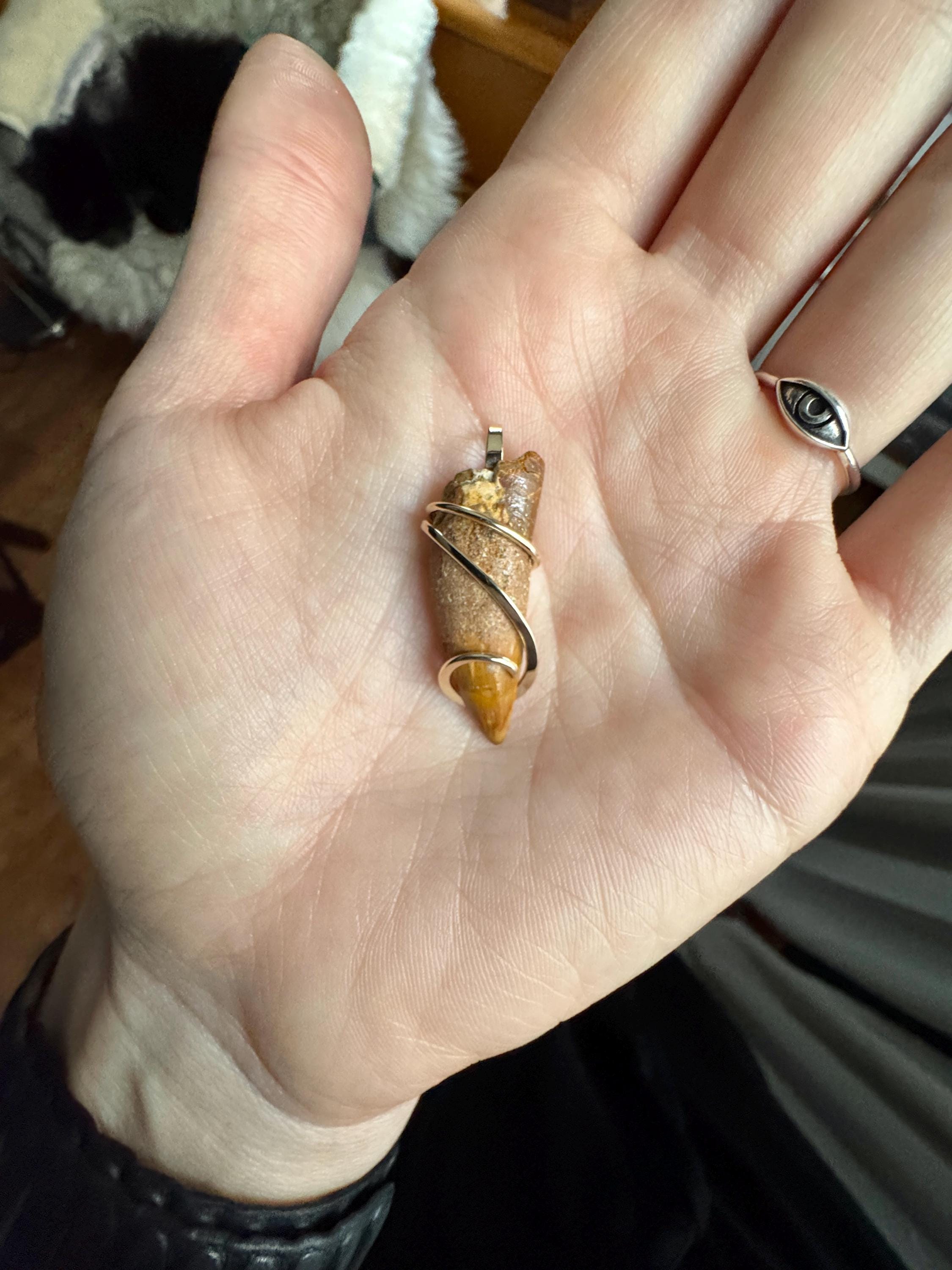 Dinosaur Tooth in 14k Gold Pendant - Etsy