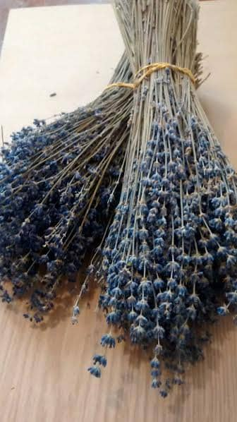 Dried English Lavender Vibrant Purple Bunches - Set of 2 – Lavender By The  Bay