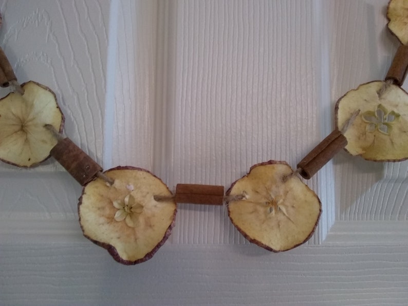 Dried Apple Slice and Cinnamon Stick Garland 4' Etsy