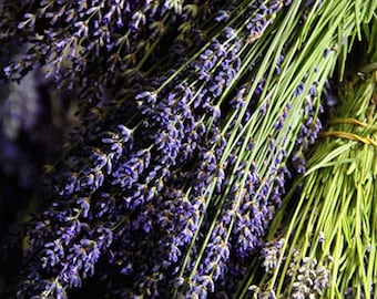 2 Dried English Lavender Bunches  - 11"-14" long - A Highly Fragrant Herb
