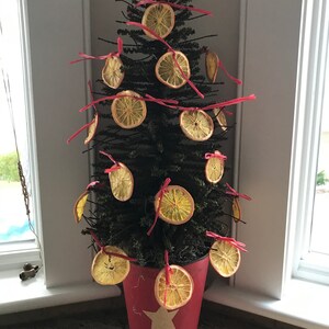 May include: A small artificial Christmas tree decorated with dried orange slices and red ribbon. The tree is in a red metal pot with a white star.
