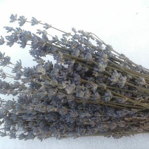 2 Dried English Lavender Bunches  - 11"-14" long - A Highly Fragrant Herb