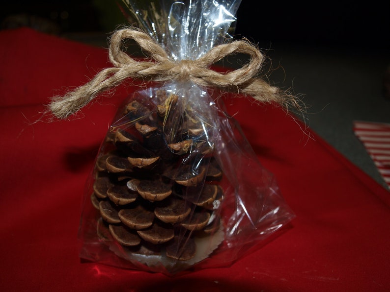 Pinecone Fire Starters 50 included Great for Holiday Etsy