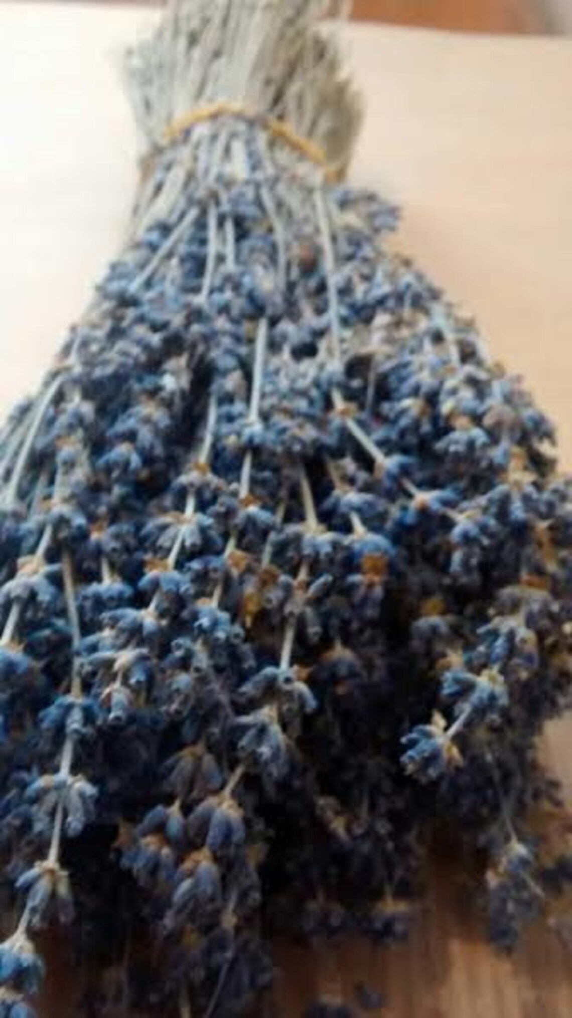 Dried English Lavender 6 Bunches Dried Lavender/lavender Etsy