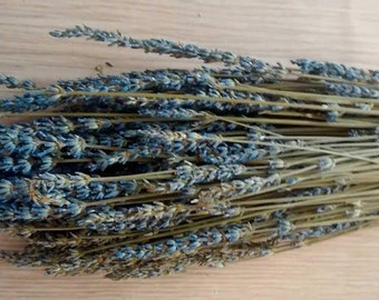 May include: A bunch of dried lavender stems with blue flowers. The stems are bundled together and have a natural, rustic look.