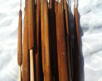 50-100 Cattails Stems - Primitive Country Home Decorations