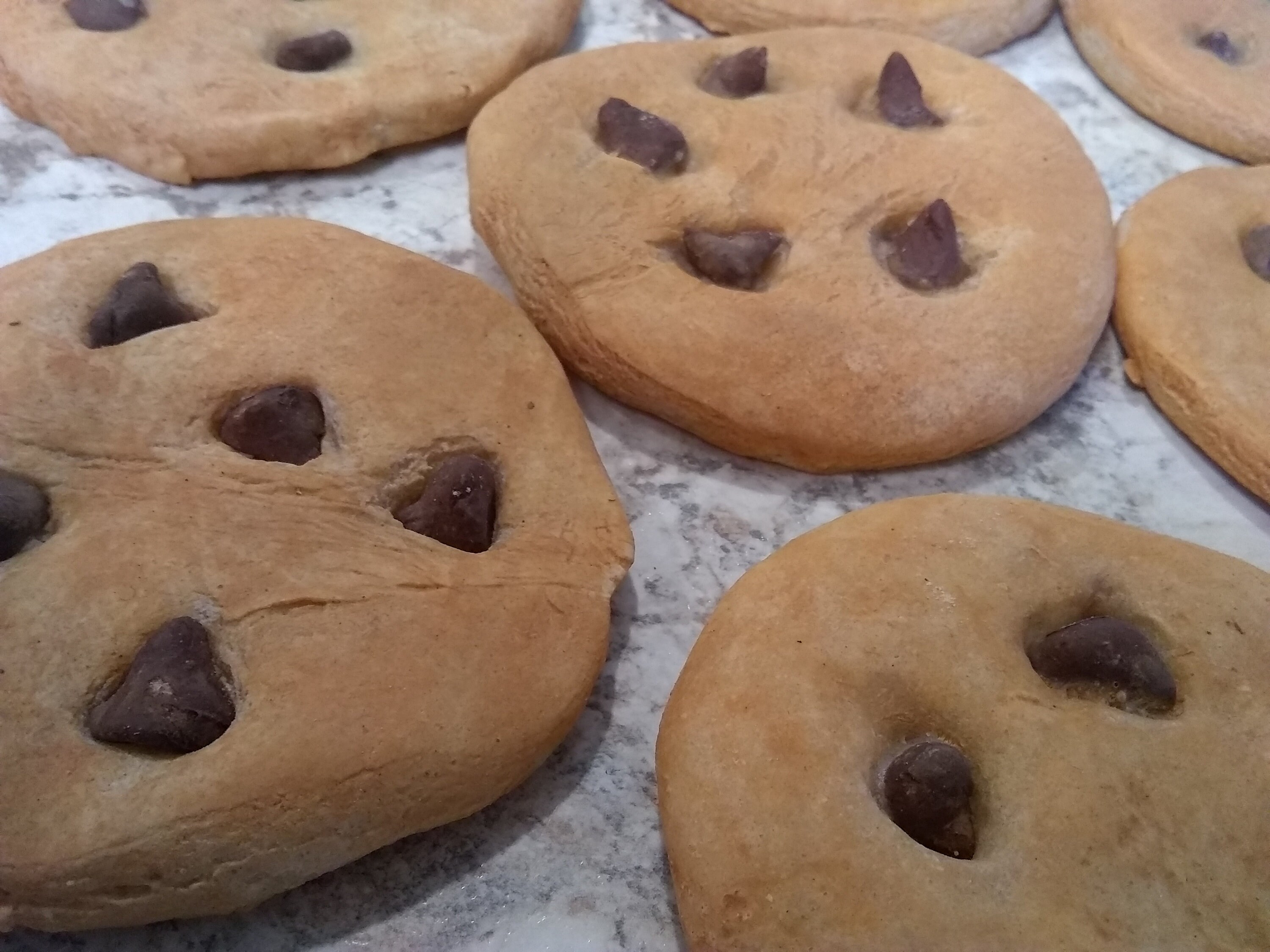 Fake Chocolate Chip OR Chunk Cookies 612 pieces fake food Etsy