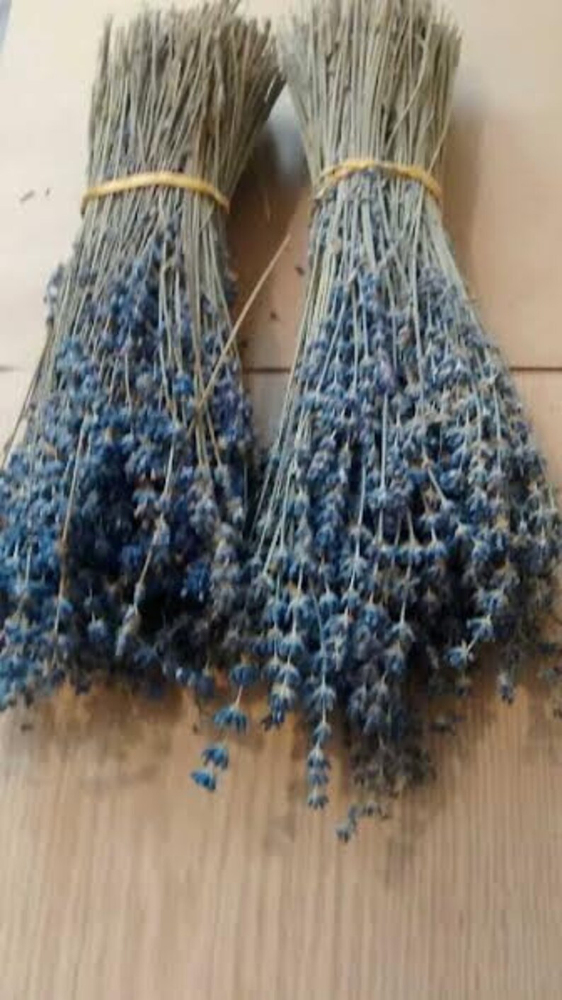 Dried English Lavender 6 Bunches Dried Lavender/lavender Etsy