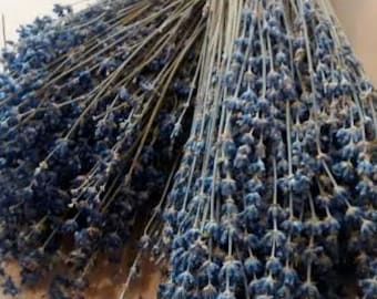 May include: A bunch of dried lavender stems with purple flowers. The stems are tied together with a brown string.
