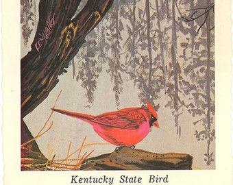 Kentucky State Bird - Cardinal Redbird Vintage Postcard Signed Artist Ken Haag (unused)