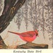 see more listings in the BIRD Postcards section