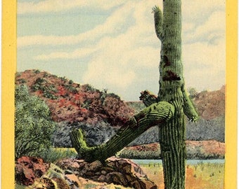 Famous Walking Cactus Wickenburg Arizona Botanical Vintage Postcard (unused)