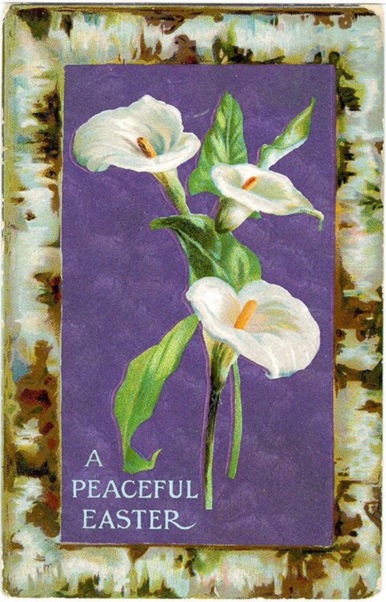 Vintage Embossed Easter Postcard Peaceful Easter Lily 1909 image 1