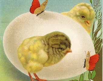Vintage Embossed Easter Postcard Two Chicks & Butterflys Giant Egg 1910s