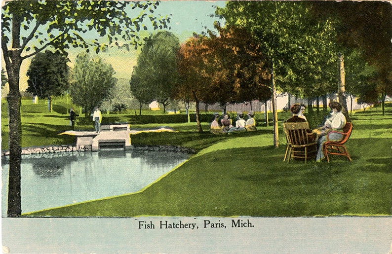 Paris Michigan Fish Hatchery Vintage Postcard 1915 Etsy