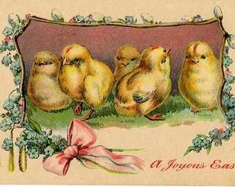 Vintage Joyous Easter Postcard Chicks & Floral Border 1911