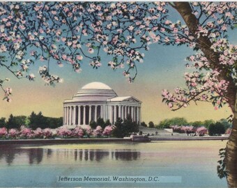 Thomas Jefferson Memorial & Cherry Blossoms Washington D.C. Vintage Postcard 1954