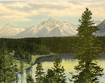 Grand Teton National Park Jackson Hole Wyoming Vintage Postcard (unused)