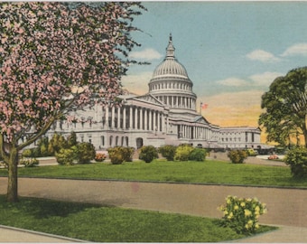 United States Capitol Cherry Blossoms Washington D.C. Vintage Postcard 1933