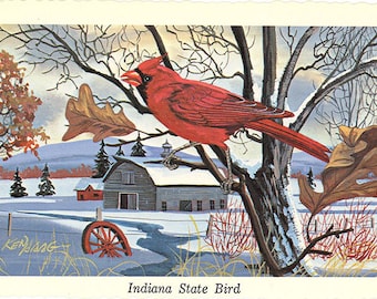 Indiana State Bird - Cardinal Redbird Vintage Postcard Signed Artist Ken Haag (unused)