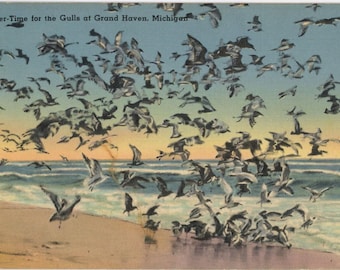 Grand Haven Lake Michigan Seagulls on Beach Vintage Postcard 1940s (unused)