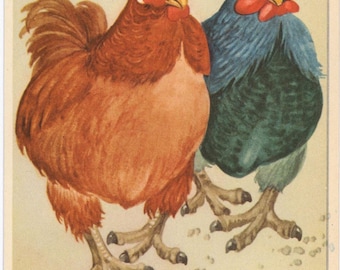 Mr and Mrs Chicken Rooster Hen Vintage Bird Postcard c1910 (unused)