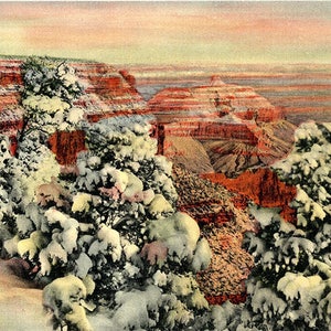 Grand Canyon National Park in the Winter Arizona Vintage Postcard 1945