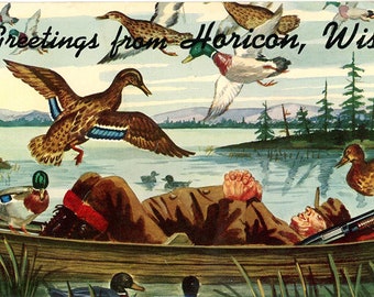 Mallard Ducks Hunter Sleeping in Boat Vintage Bird Postcard (unused)