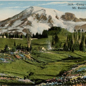 May include: Vintage postcard featuring a scenic view of Mount Rainier in Washington State. The image shows a snow-capped mountain, green hills, and colorful wildflowers. Text at the top reads "1619. Camp of the Clouds, Mt. Rainier, Wash."