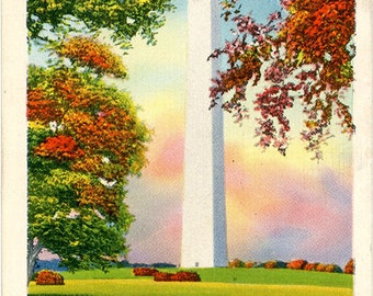 Washington Monument Fall Foliage Washington D.C. Vintage Postcard