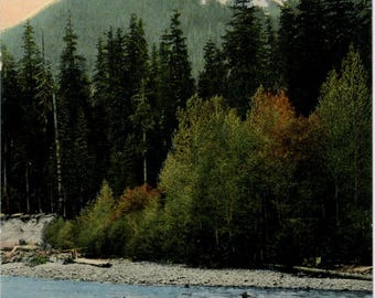 Olympic Range Crossing Elwha River on Horseback Washington Postcard 1907 (unused)
