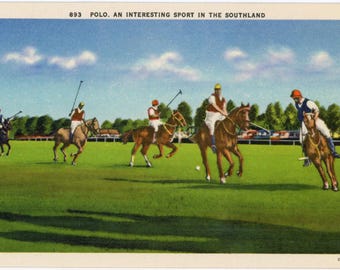 Polo Interesting Sport in the Southland Vintage Postcard (unused)