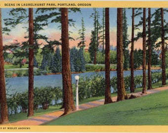 Portland Oregon Laurelhurst Park Vintage Postcard (unused)