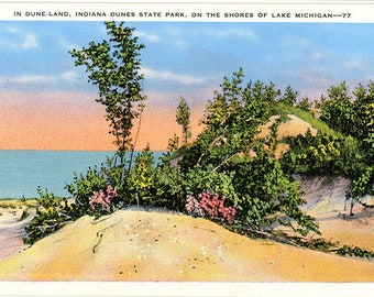 Indiana Dunes State Park Lake Michigan Vintage Postcard (unused)