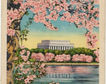 Lincoln Memorial Through Cherry Blossoms Washington D.C. Vintage Postcard (unused)