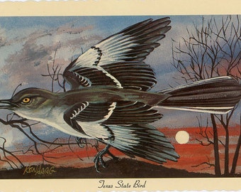 Texas State Bird - Mockingbird Vintage Postcard Signed Artist Ken Haag (unused)
