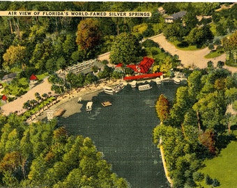 Silver Springs Florida Aerial View Vintage Postcard 1948