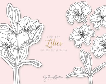 Free Free 266 Single Line Flower Svg SVG PNG EPS DXF File