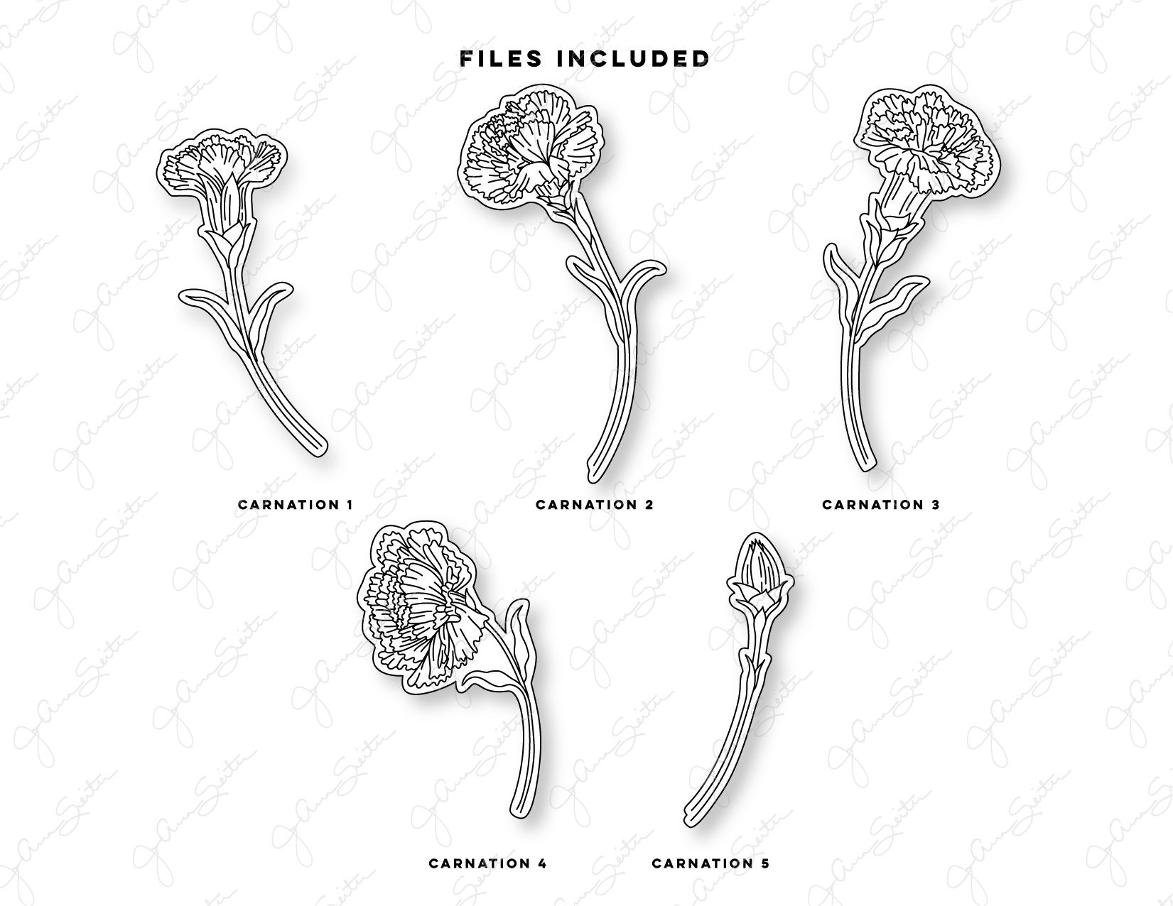 Carnation Flower Single Line SVG File, Botanical Floral Clip Art ...