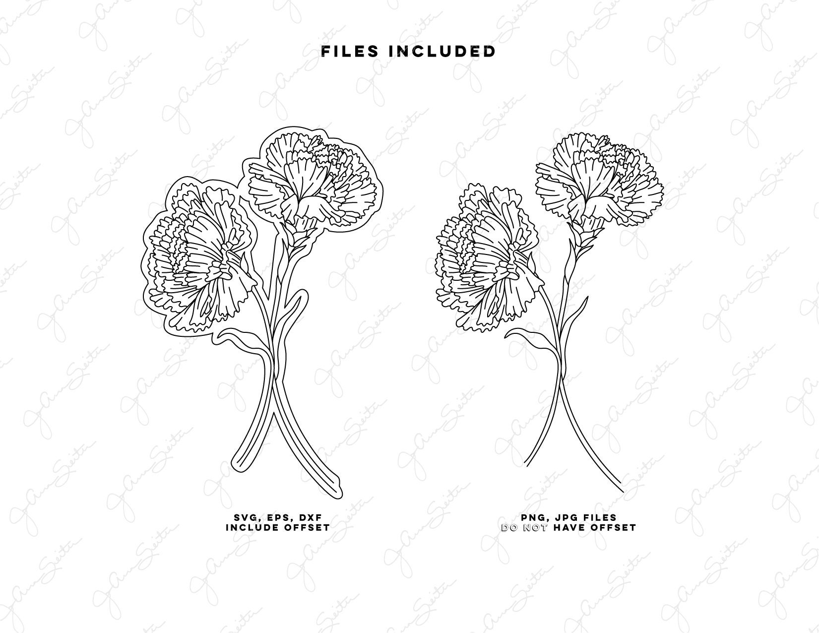 Carnation Flower Single Line SVG File, Botanical Floral Clip Art ...